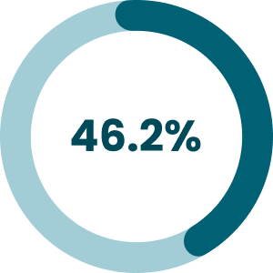 Pie chart showing 46.2%.