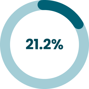 Pie chart showing 21.2%.