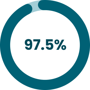 Pie chart showing 97.5%.