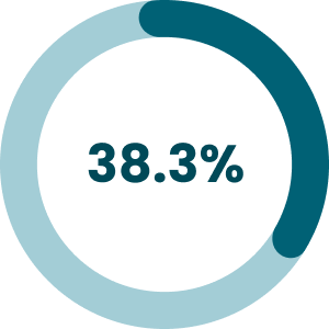 Pie chart showing 38.3%.